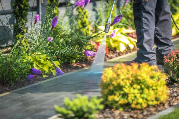 Best Sidewalk and Walkway Cleaning  in Seminole, TX